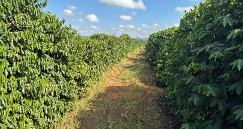 Fazenda à venda na região de piumhi/mg excelência em cafeicultura!   altamente produtiva e com estrutura completa fa00339