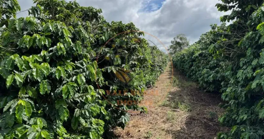 Fazenda de café à venda porteira fechada na região de campos altos/mg estrutura completa, produção ativa fa00346