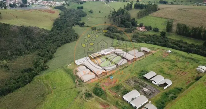 Excelente área escriturada com 35 hectares, muita água e 19 barracões! fa000349