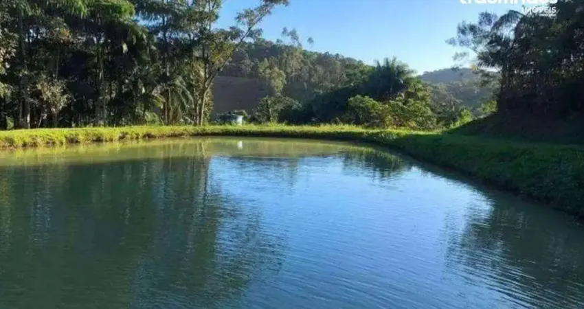 Sítio com 2 dormitórios à venda, 85000 m² por r$ 650.000,00 - vila itoupava - blumenau/sc