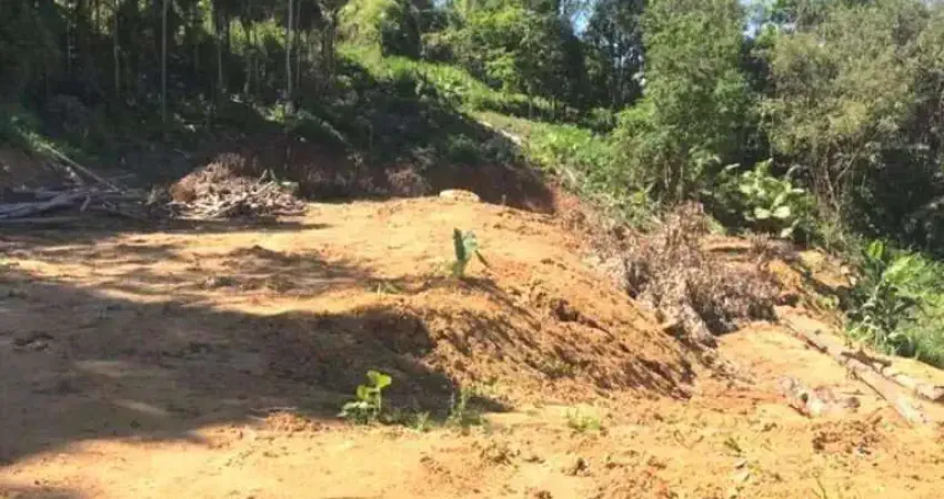 Terreno à venda, 7.199 m² por R$ 180.000 - Vila Itoupava - Blumenau/SC