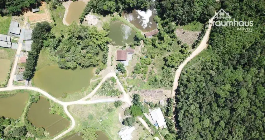 Sítio com 3 dormitórios à venda, 20000 m² por r$ 1.350.000,00 - vila itoupava - blumenau/sc