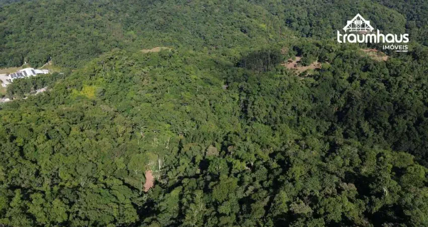 Terreno à venda, 176.000,00 m² por R$ 380.000 - Belchior Alto - Gaspar/SC