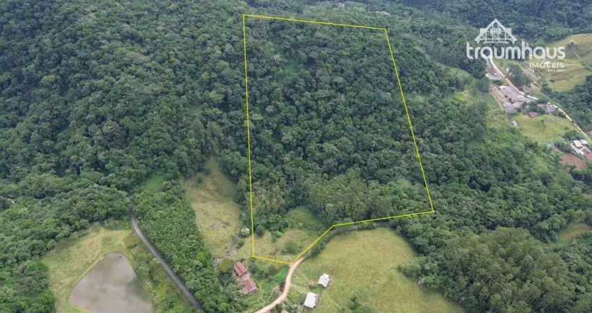 Terreno à venda, 40607 m² por R$ 270.000,00 - Itoupava Central - Blumenau/SC