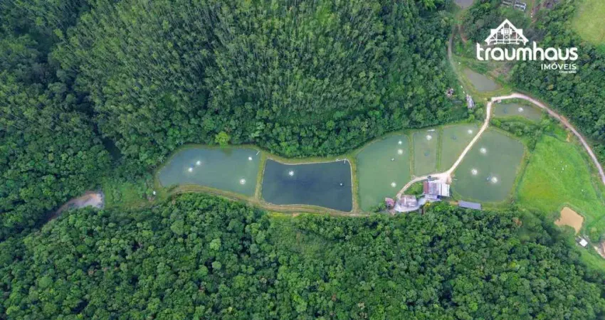 Sítio à venda, 404393 m² por r$ 6.000.000,00 - gaspar grande - gaspar/sc