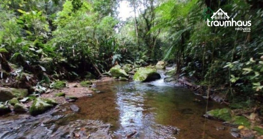 Terreno à venda, 29000 m² por R$ 115.000 - Progresso - Blumenau/SC