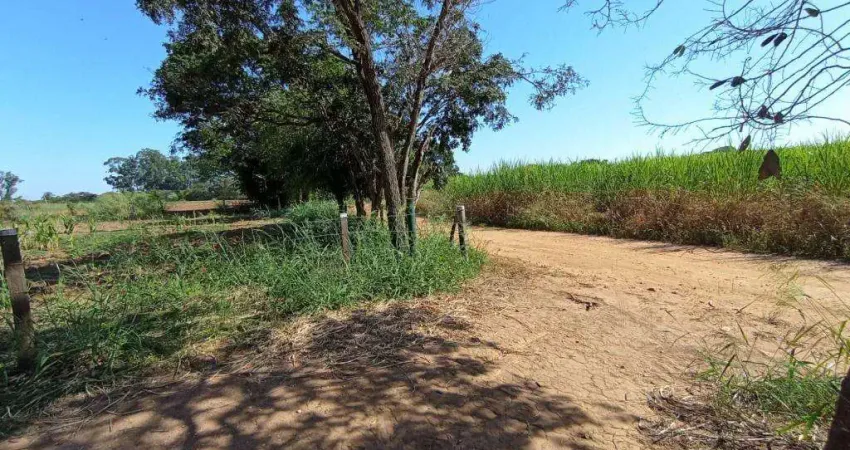 Sítio à venda em Jaguariúna, Área Rural, com 39962.07 m²