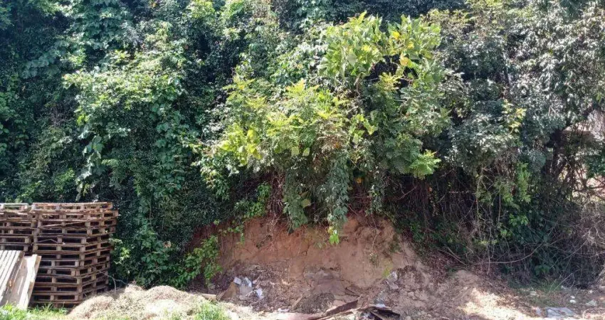 Terreno à venda em Jaguariúna, Jardim Pinheiro, com 1127 m²