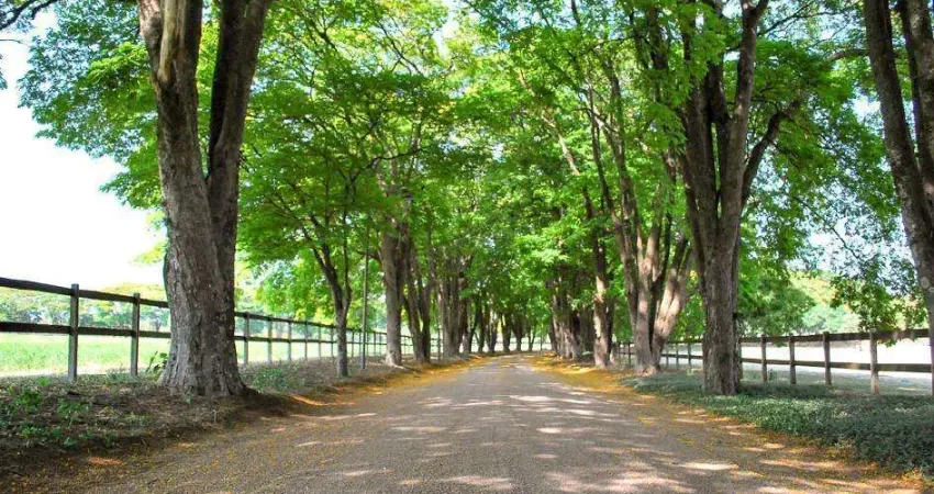 Terreno à venda em jaguariúna, reserva santa izabel, com 465 m², reserva santa izabel