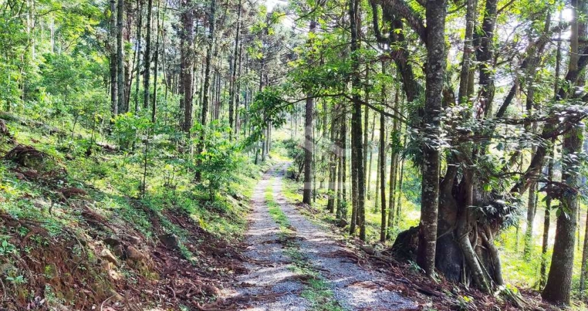 Área de terra com vista à venda em Nova Petrópolis na Serra Gaúcha