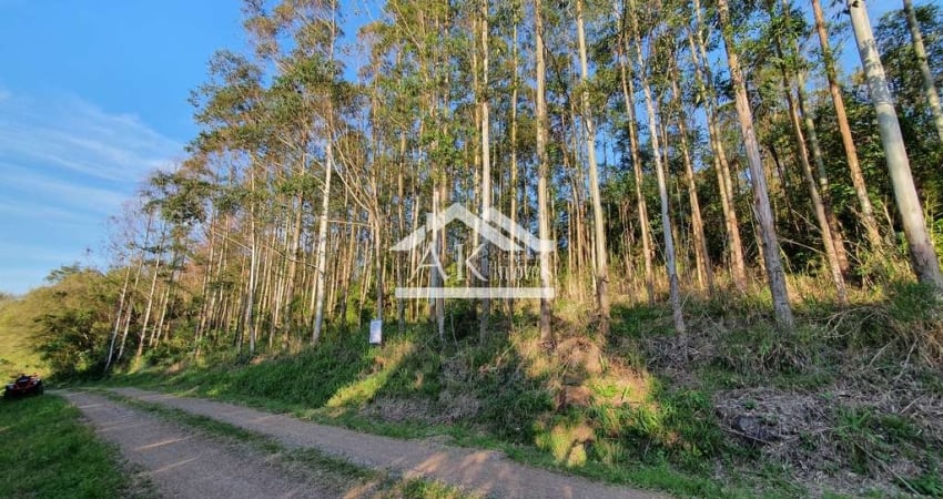 Área de terras com bela vista à venda em Nova Petrópolis na serra gaúcha