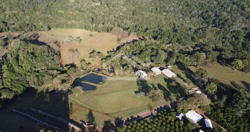Sítio com potencial turístico à venda em São Francisco de Paula