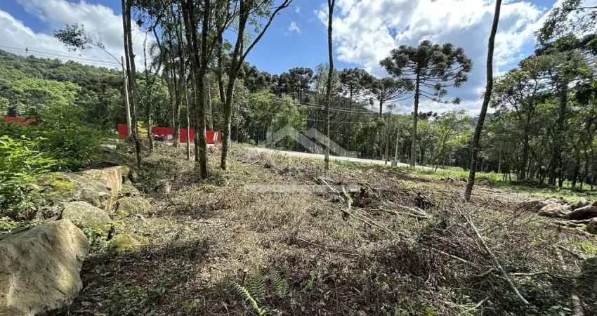 Terreno com fundos para área verde à venda em nova petrópolis na serra gaúcha