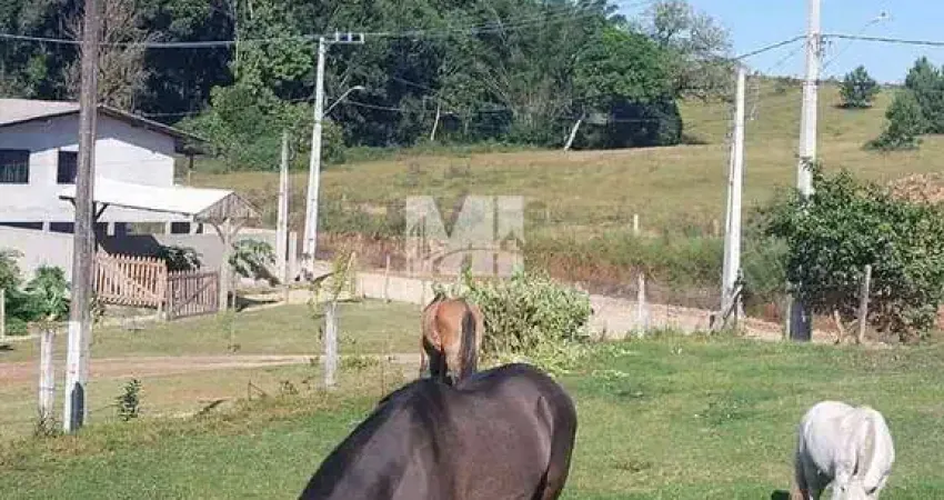 Chácara / sítio com 4 quartos à venda na Rua Oscar Pereira, 75, Centro, Barra Velha