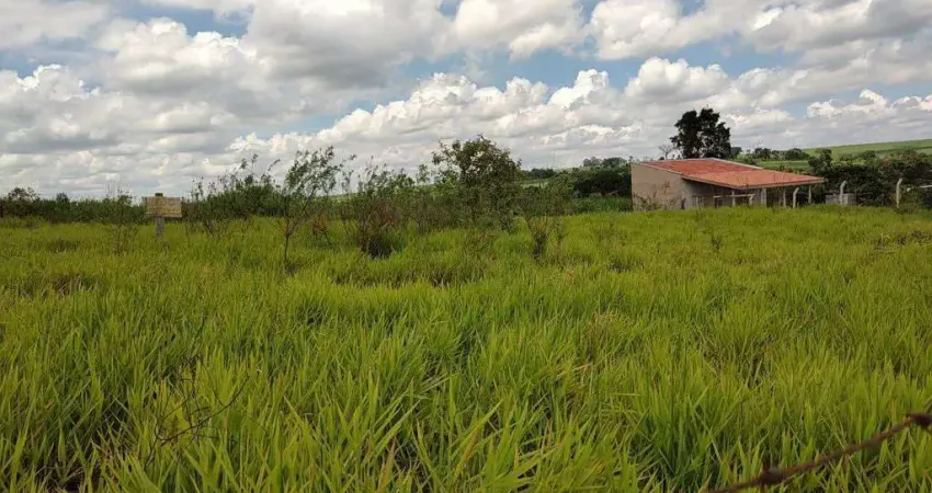 Chácara à venda no Cruzeiro do Sul em Santa Bárbara d'Oeste.