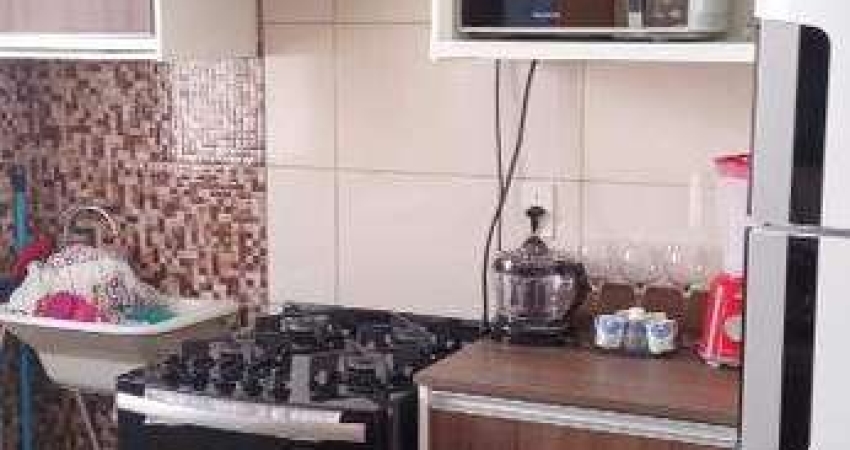 Apartamento à venda no Residencial Parque Aliance em Americana.