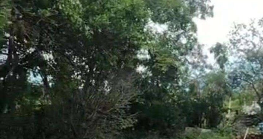 Terreno à venda no Jardim Vista Alegre em Santa Bárbara d'Oeste com 380 m²