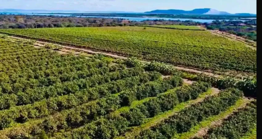 Oportunidade Milionária no Agro – Estrutura 100% Operacional