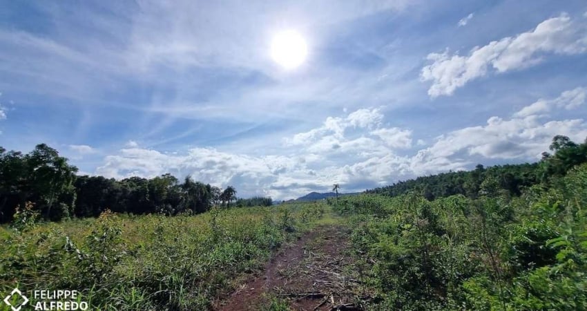 Campo à venda São Jacó Sapiranga/RS