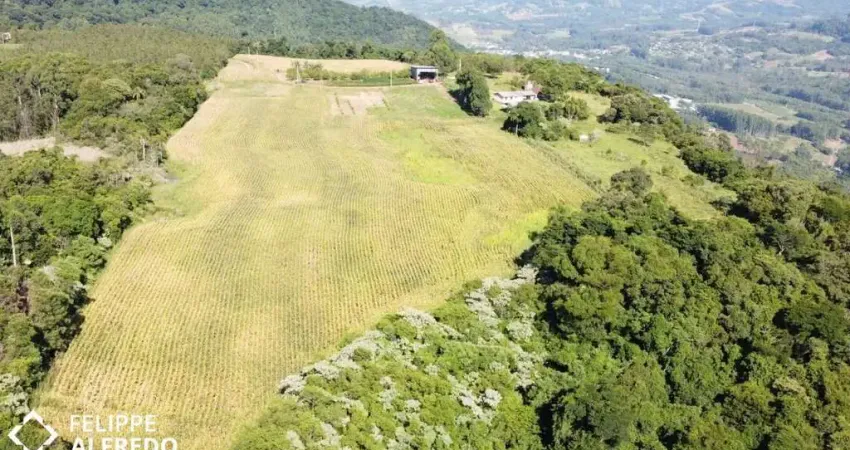Chácara / sítio à venda na Estr. Morro Do Pedro, 000, Morro Do Pedro, Presidente Lucena