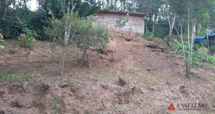 Terreno à venda, 1000 m² por R$ 200.000,00 - Cidade Recreio da Borda do Campo - Santo André/SP