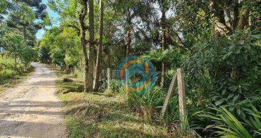 Galpão à venda por R$ 1.396.999 - Zacarias - São José dos Pinhais/PR