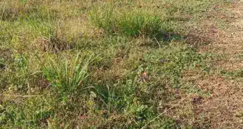 Terreno à venda, 300 m² por R$ 220.000,00 - Nova Cananéia  - Cananéia/SP