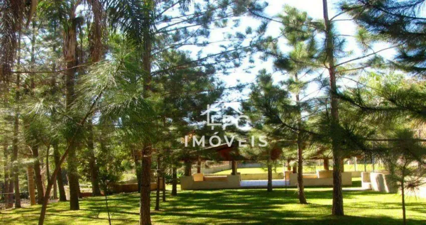 Chácara / sítio com 7 quartos à venda na Rua Pio XII, Terra Preta, Mairiporã