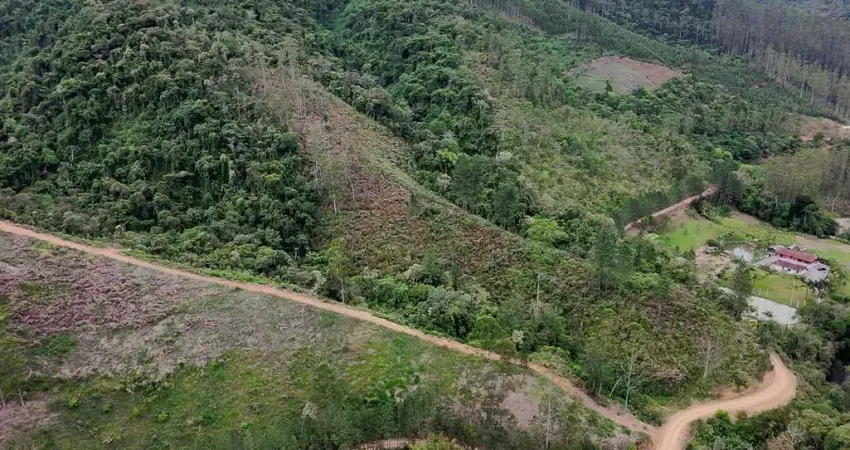 Chácara / sítio à venda na Zona Rural, Presidente Nereu