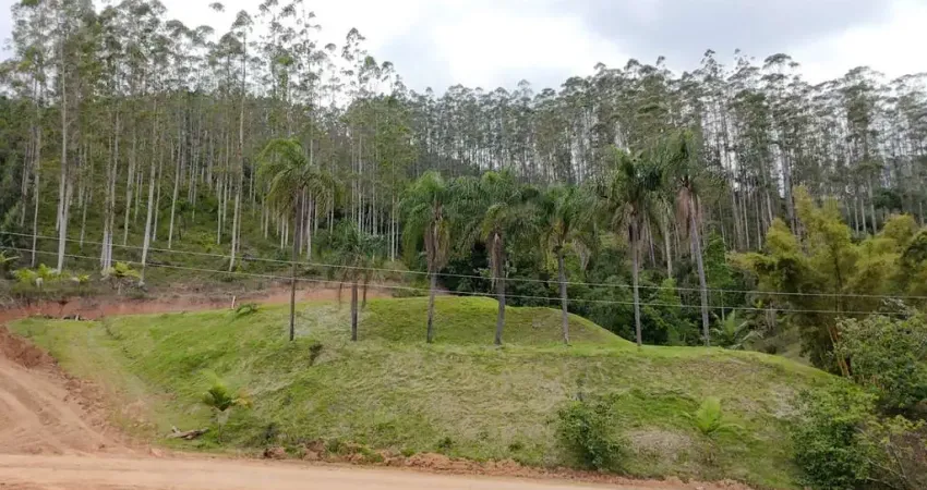 Chácara / sítio à venda na Zona Rural, Presidente Nereu 