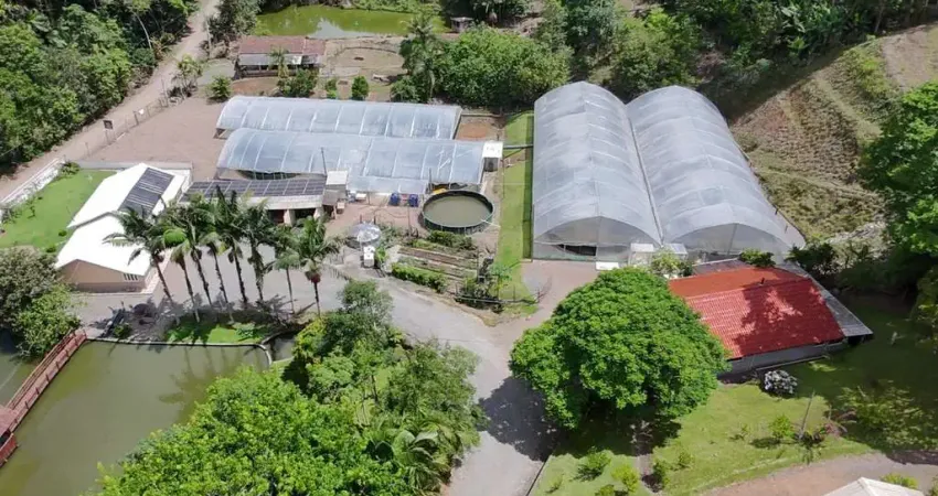 Sítio para Venda em Presidente Nereu, Boa Esperança, 6 dormitórios, 5 banheiros, 3 vagas