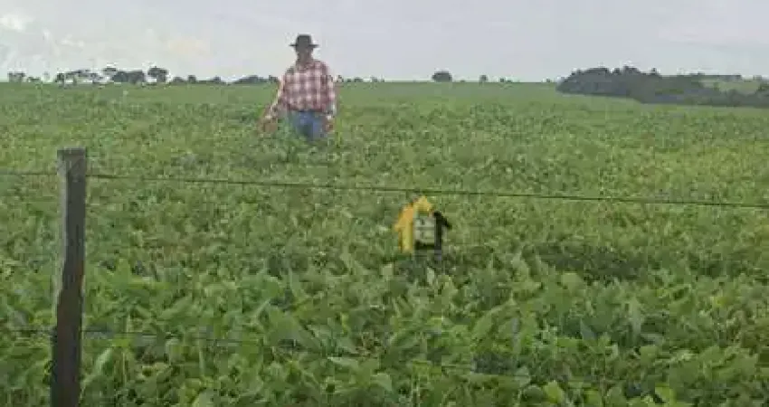 Fazenda à venda, 19021200 m² por R$ 17.685.000,00 - Centro - Santa Rita do Araguaia/GO
