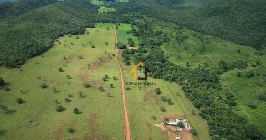 Fazenda com 3 dormitórios à venda, 52272000 m² por R$ 22.600.000,00 - Zona Rural - São Salvador do Tocantins/TO