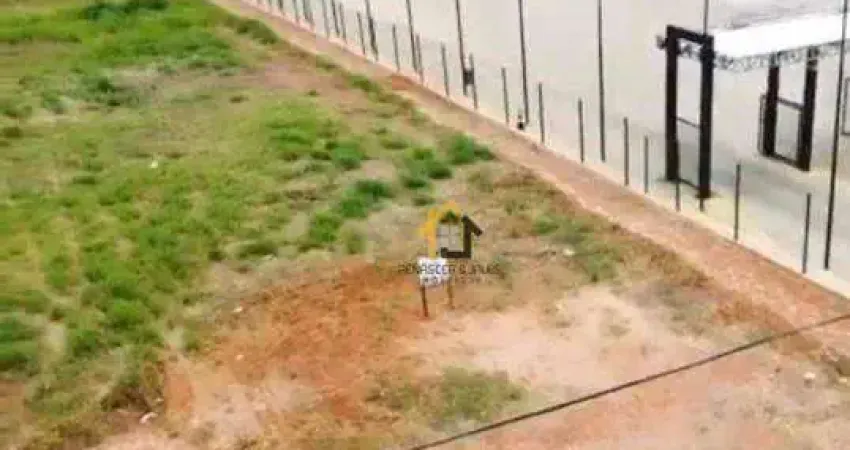 Terreno à venda, 486 m² por R$ 790.000,00 - Vila Cassini - São José do Rio Preto/SP