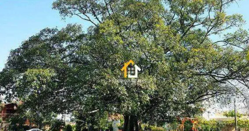 Terreno à venda, 350 m² por r$ 439.000 - village mirassol ii - mirassol/sp