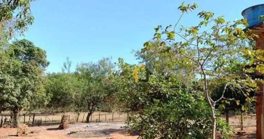 Chácara com 1 dormitório à venda, 8490 m² por r$ 950.000,00 - estância jóckei club - são josé do rio preto/sp