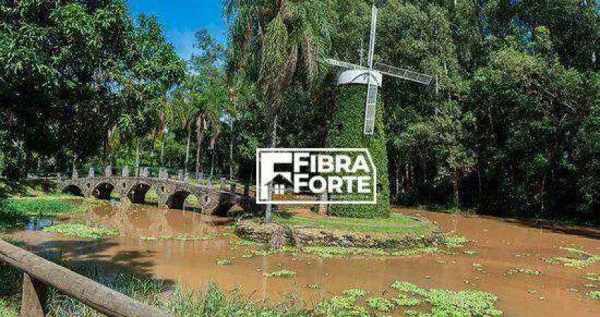 Terreno à venda, 437 m² por r$ 800.000,00 - swiss park - campinas/sp