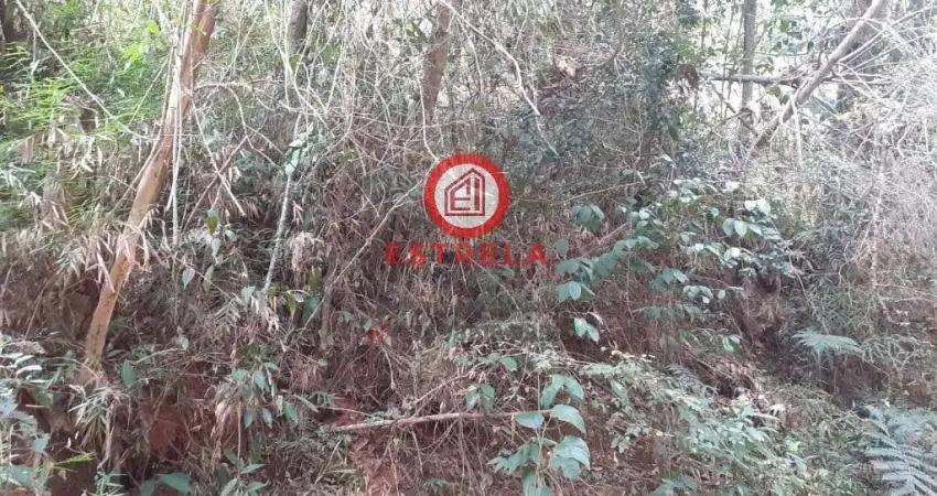 Chácara / sítio à venda na Rua Quatro, Fazenda Caetê, Santa Branca