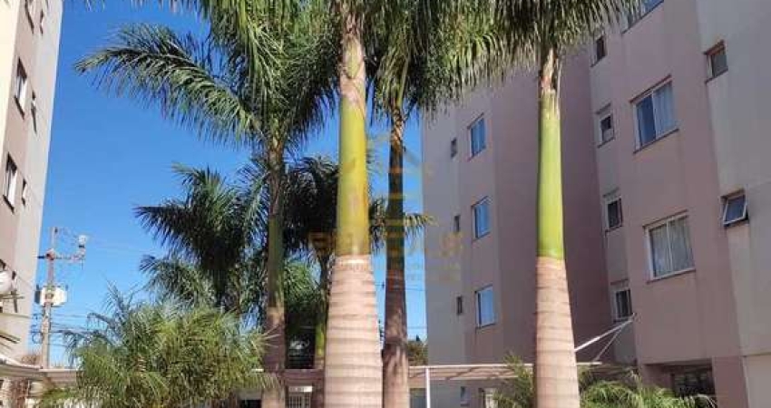 Apartamento com 3 quartos, Pacaembu, Cascavel - R$ 480 mil, Cod: 141