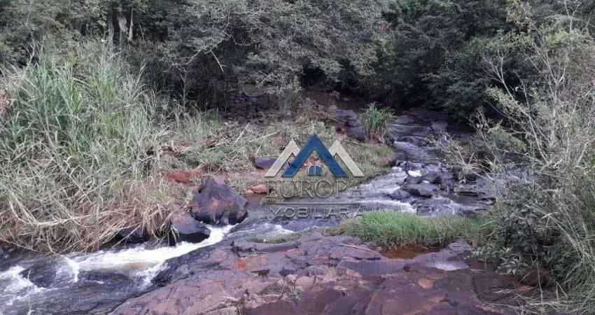 Terreno à venda, 7000 m² por R$ 250.000,00 - Rural - Sertanópolis/PR