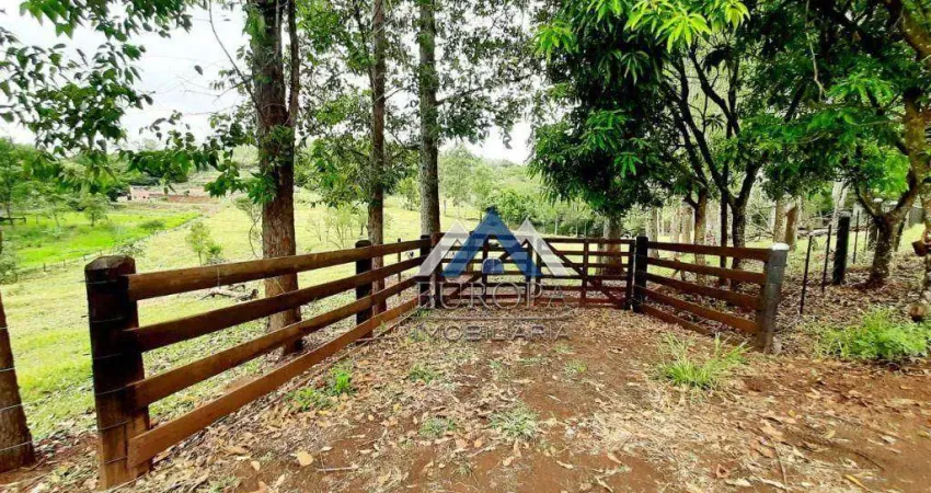 Terreno à venda, 20000 m² por R$ 350.000,00 - Distrito Maravilha - Londrina/PR