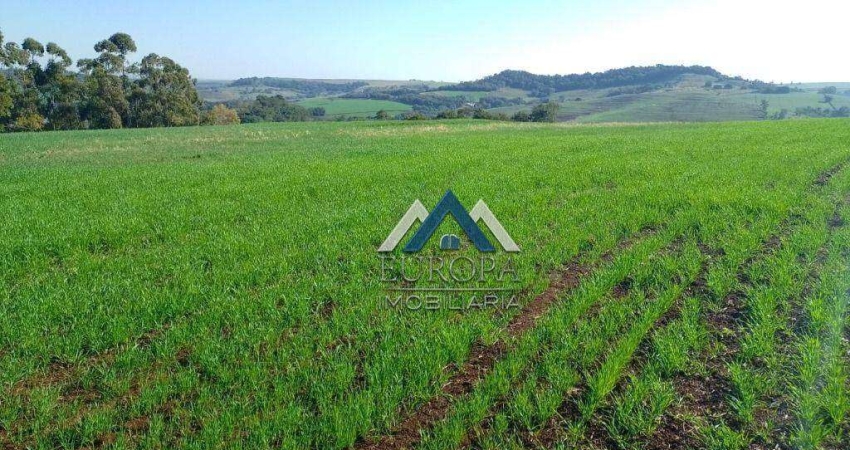 Sítio à venda, 363000 m² por R$ 1.800.000,00 - Residencial Capeli - Abatia/PR