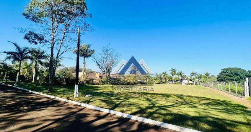 Terreno à venda, 2500 m² por R$ 590.000,00 - Centro - Cambé/PR