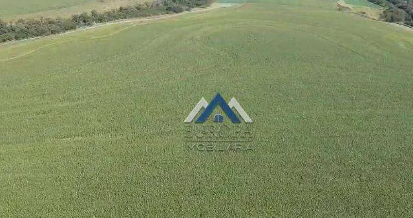 Fazenda à venda, 1815000 m² por R$ 23.100.000,00 - Rural - Leópolis/PR