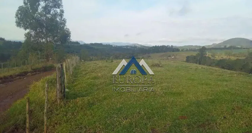 Sítio à venda, 150524 m² por R$ 1.560.000,00 - Sitio  - Londrina/PR