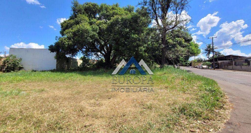 Terreno à venda, 1027 m² por R$ 821.600,00 - Conjunto Habitacional Maria Cecília Serrano de Oliveira - Londrina/PR