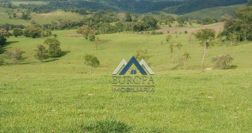 Fazenda à venda, 968000 m² por R$ 4.400.000,00 - Lambari - Sapopema/PR