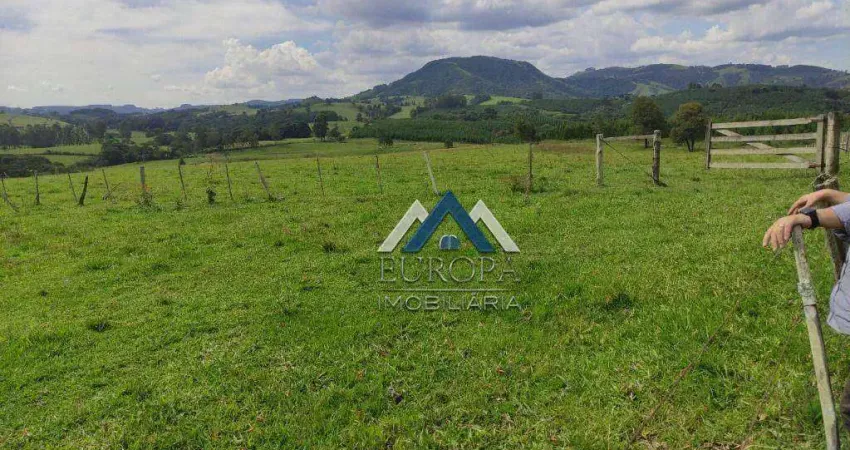 Sítio à venda, 556600 m² por r$ 3.450.000,00 - lambari - sapopema/pr
