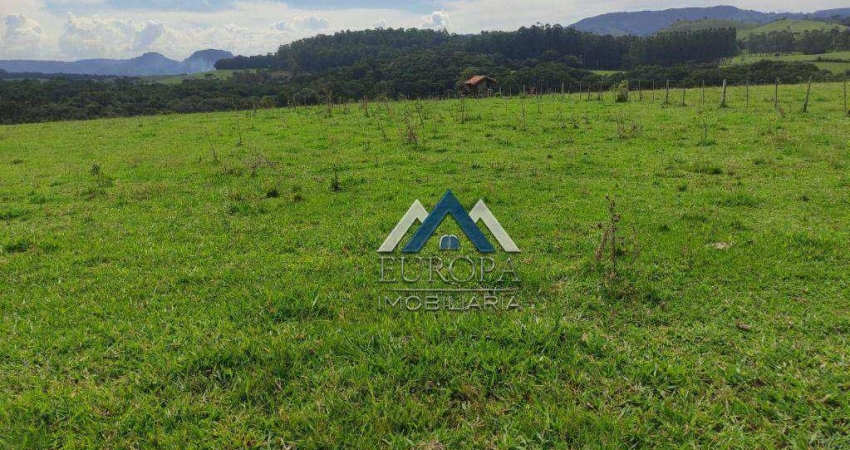Sítio à venda, 556600 m² por R$ 3.450.000,00 - Lambari - Sapopema/PR