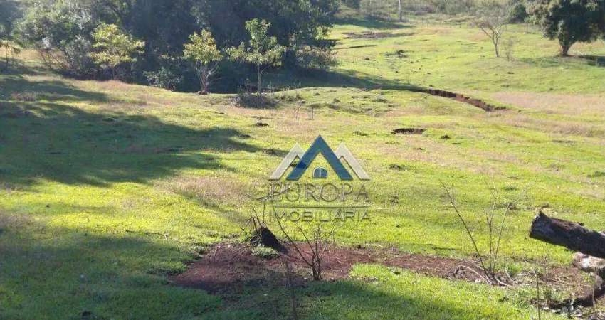 Chácara com 3 dormitórios à venda, 24200 m² por R$ 1.200.000,00 - Contorno Norte - Ibiporã/PR